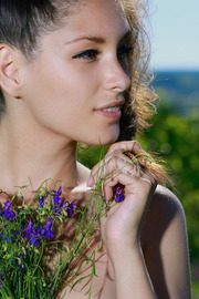 Colour